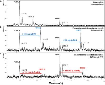 Detection of Colistin Resistance in Salmonella enterica Using MALDIxin Test on the Routine MALDI Biotyper Sirius Mass Spectrometer